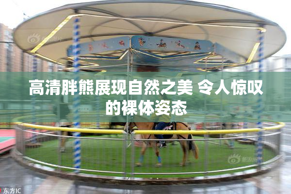 高清胖熊展现自然之美 令人惊叹的裸体姿态