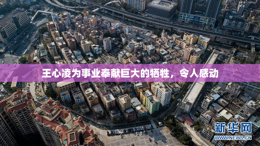 王心凌为事业奉献巨大的牺牲，令人感动