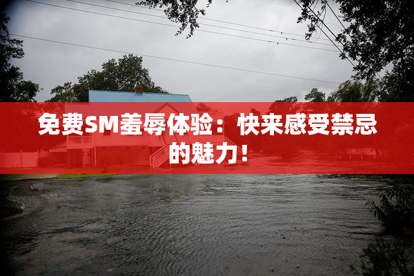 免费SM羞辱体验：快来感受禁忌的魅力！