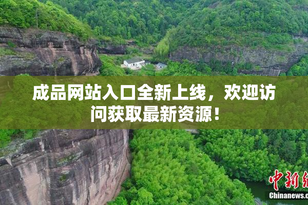 成品网站入口全新上线，欢迎访问获取最新资源！