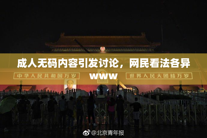 成人无码内容引发讨论，网民看法各异www
