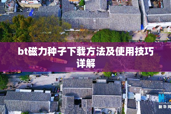 bt磁力种子下载方法及使用技巧详解