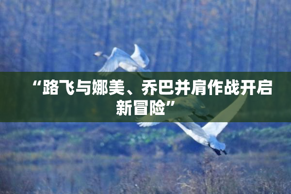 “路飞与娜美、乔巴并肩作战开启新冒险”