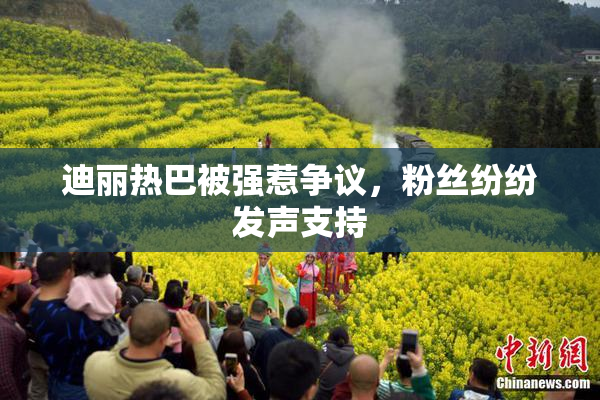 迪丽热巴被强惹争议，粉丝纷纷发声支持