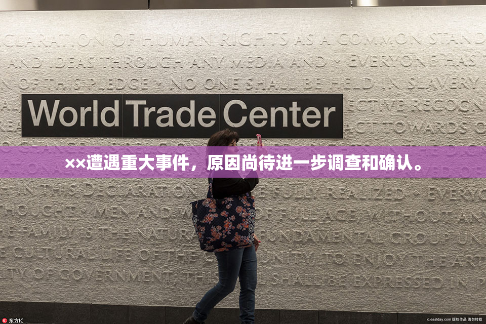 ××遭遇重大事件，原因尚待进一步调查和确认。