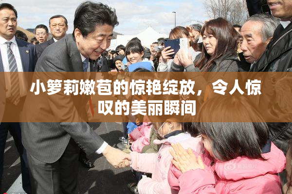 小箩莉嫩苞的惊艳绽放，令人惊叹的美丽瞬间