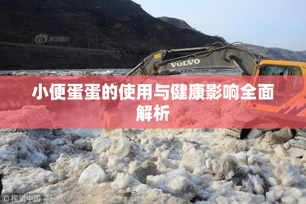 小便蛋蛋的使用与健康影响全面解析