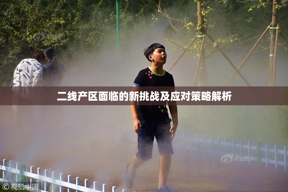 二线产区面临的新挑战及应对策略解析