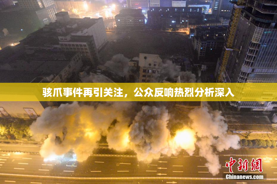 骇爪事件再引关注，公众反响热烈分析深入
