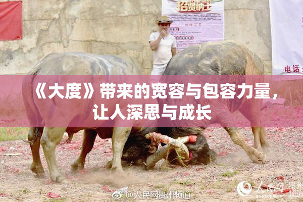 《大度》带来的宽容与包容力量，让人深思与成长