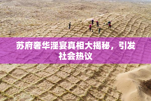 苏府奢华淫宴真相大揭秘，引发社会热议