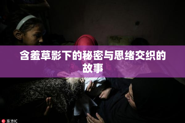 含羞草影下的秘密与思绪交织的故事