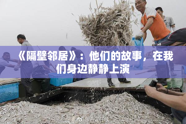 《隔壁邻居》：他们的故事，在我们身边静静上演