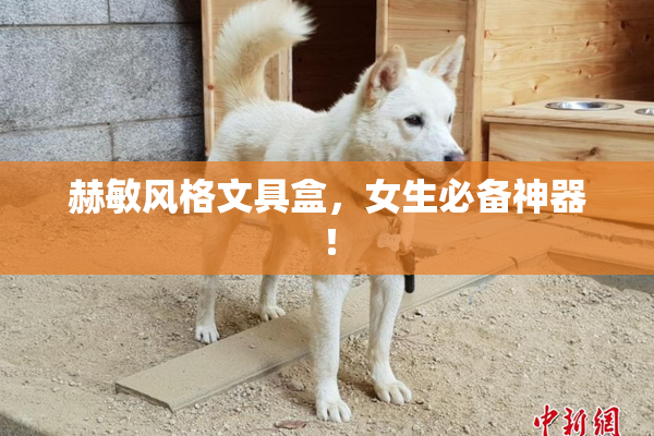 赫敏风格文具盒，女生必备神器！