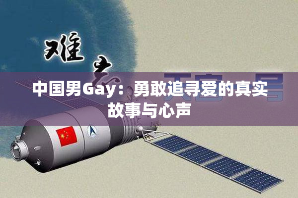 中国男Gay：勇敢追寻爱的真实故事与心声