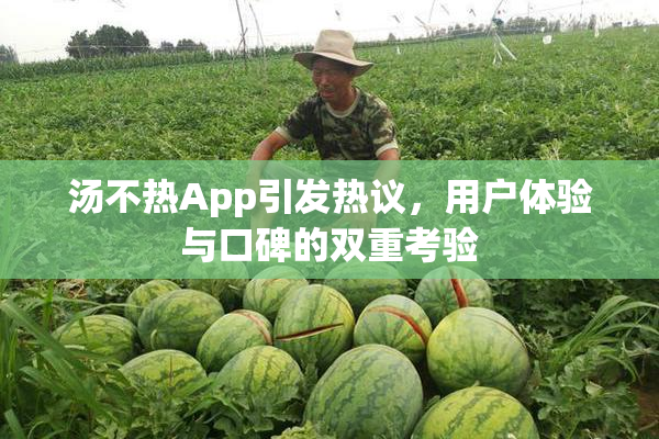 汤不热App引发热议，用户体验与口碑的双重考验