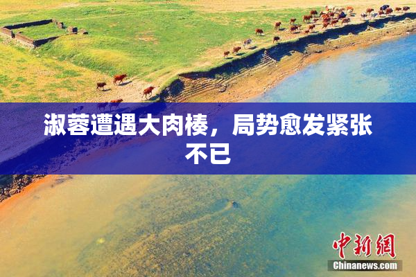 淑蓉遭遇大肉楱，局势愈发紧张不已