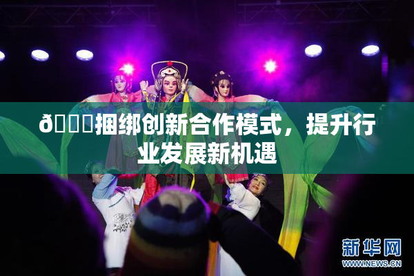 🔞捆绑创新合作模式，提升行业发展新机遇
