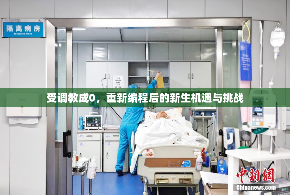 受调教成0，重新编程后的新生机遇与挑战