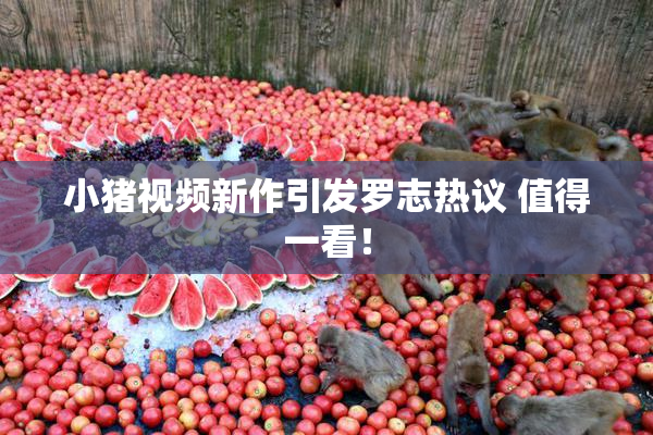 小猪视频新作引发罗志热议 值得一看！