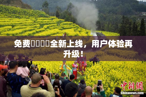 免费❌‌❌‌全新上线，用户体验再升级！