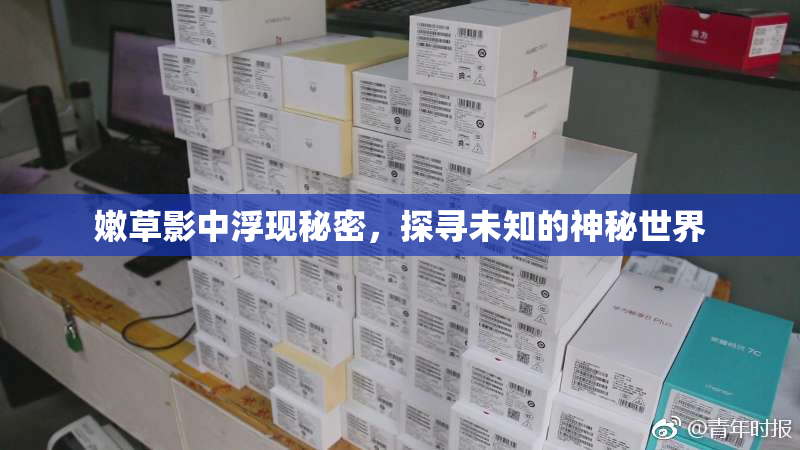 嫩草影中浮现秘密，探寻未知的神秘世界