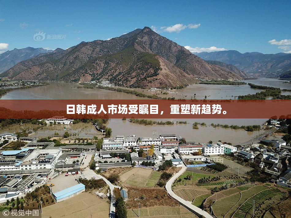 日韩成人市场受瞩目，重塑新趋势。