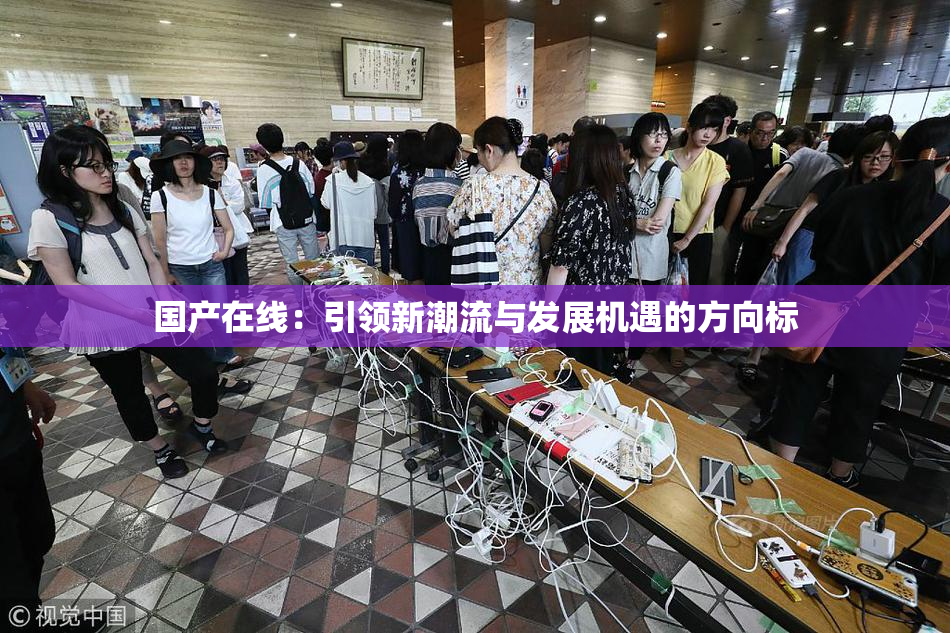 国产在线：引领新潮流与发展机遇的方向标