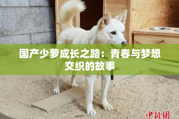 国产少萝成长之路：青春与梦想交织的故事