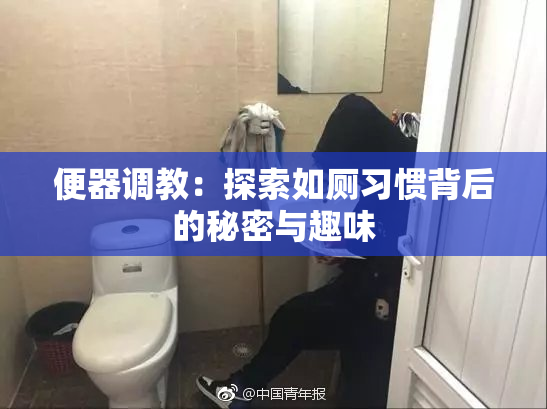 便器调教：探索如厕习惯背后的秘密与趣味