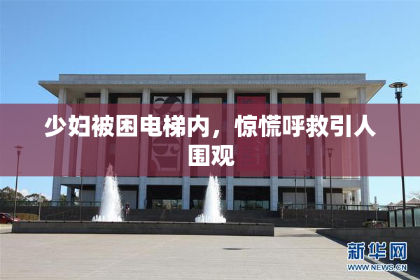 少妇被困电梯内，惊慌呼救引人围观
