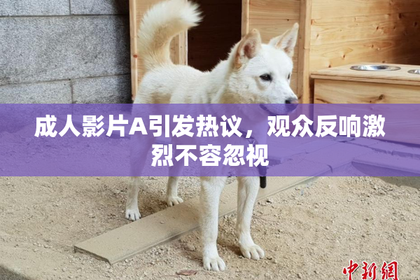 成人影片A引发热议，观众反响激烈不容忽视