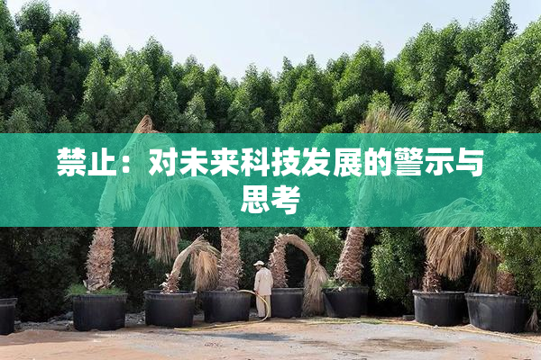 禁止：对未来科技发展的警示与思考