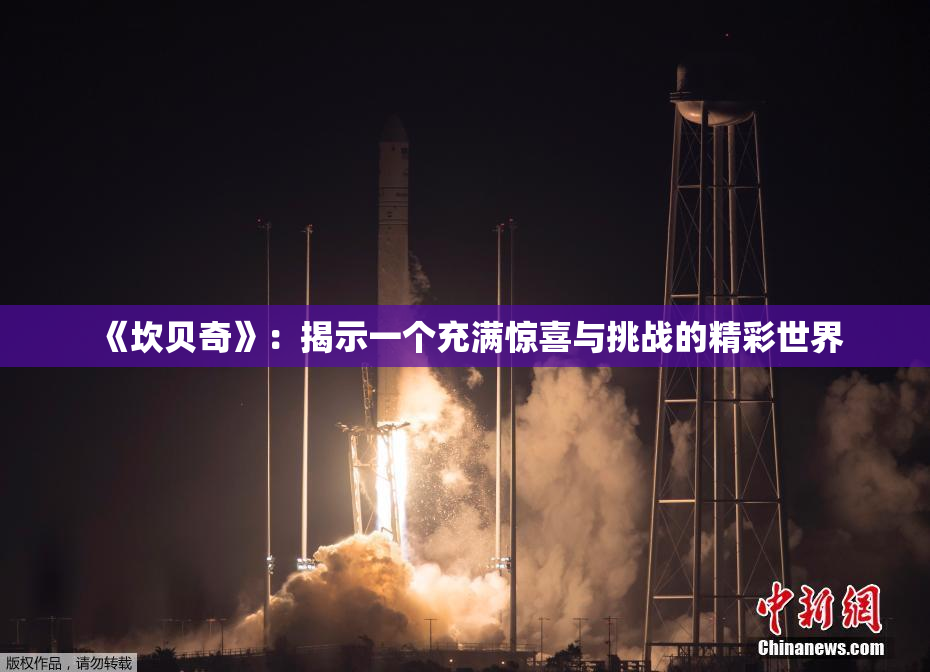 《坎贝奇》：揭示一个充满惊喜与挑战的精彩世界