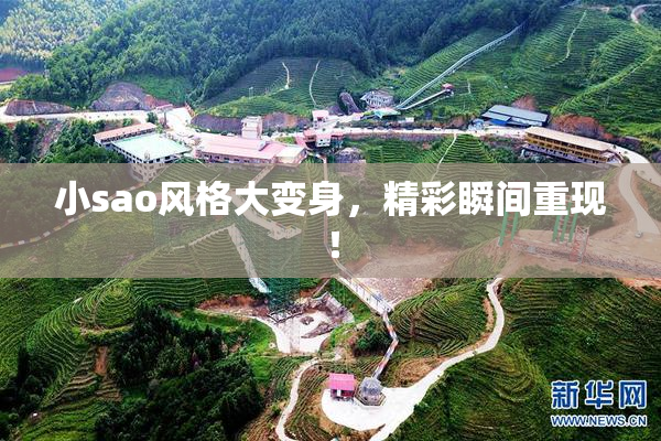 小sao风格大变身，精彩瞬间重现！