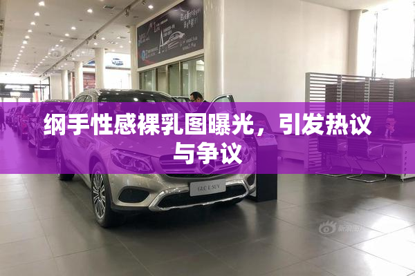 纲手性感裸乳图曝光，引发热议与争议