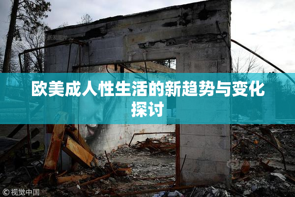 欧美成人性生活的新趋势与变化探讨