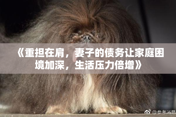 《重担在肩，妻子的债务让家庭困境加深，生活压力倍增》