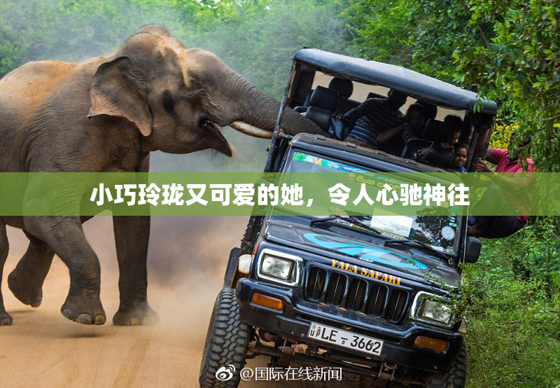 小巧玲珑又可爱的她，令人心驰神往