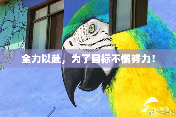 全力以赴，为了目标不懈努力！