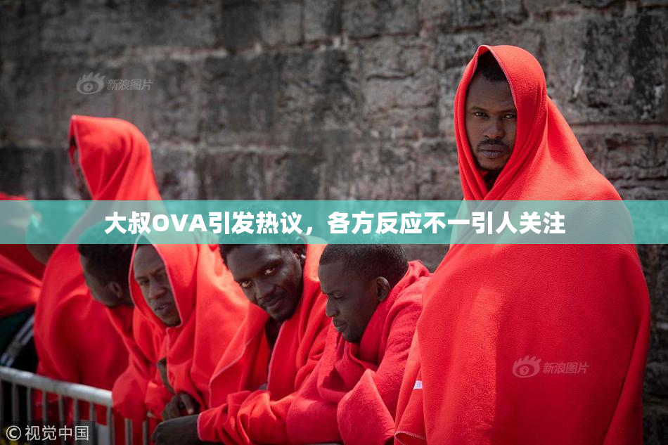 大叔OVA引发热议，各方反应不一引人关注