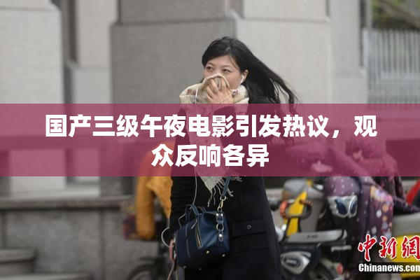 国产三级午夜电影引发热议，观众反响各异
