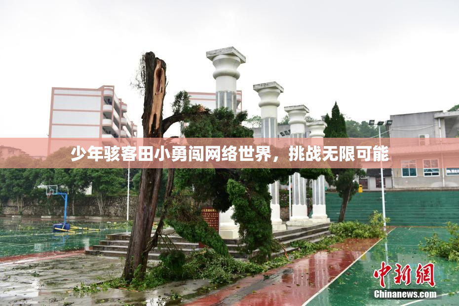 少年骇客田小勇闯网络世界，挑战无限可能