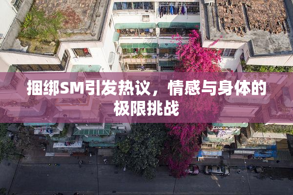 捆绑SM引发热议，情感与身体的极限挑战