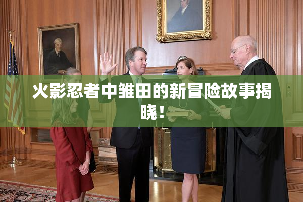 火影忍者中雏田的新冒险故事揭晓！