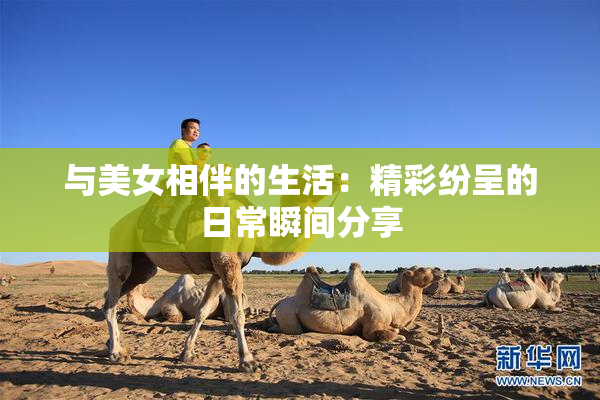 与美女相伴的生活：精彩纷呈的日常瞬间分享