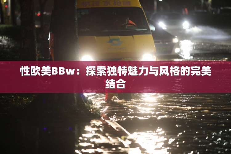 性欧美BBw：探索独特魅力与风格的完美结合