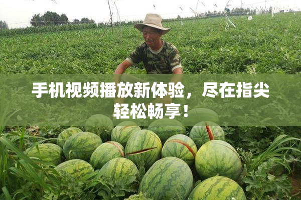 手机视频播放新体验，尽在指尖轻松畅享！