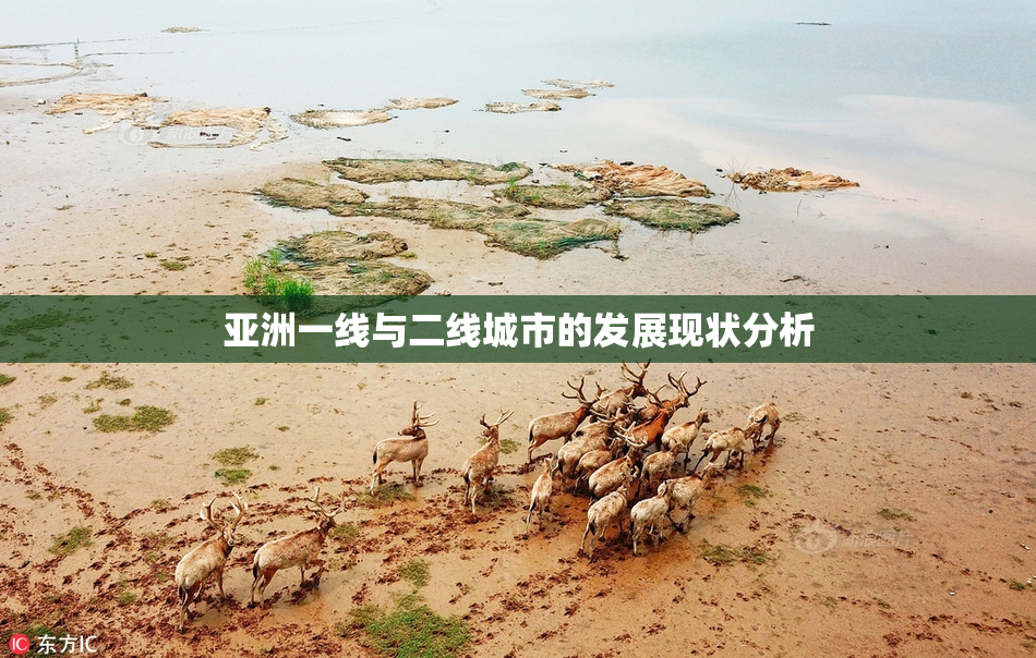 亚洲一线与二线城市的发展现状分析
