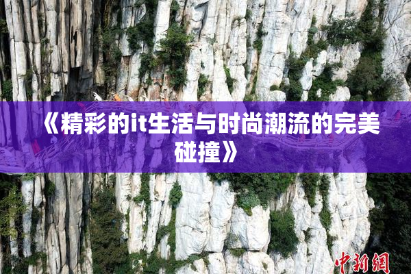 《精彩的it生活与时尚潮流的完美碰撞》